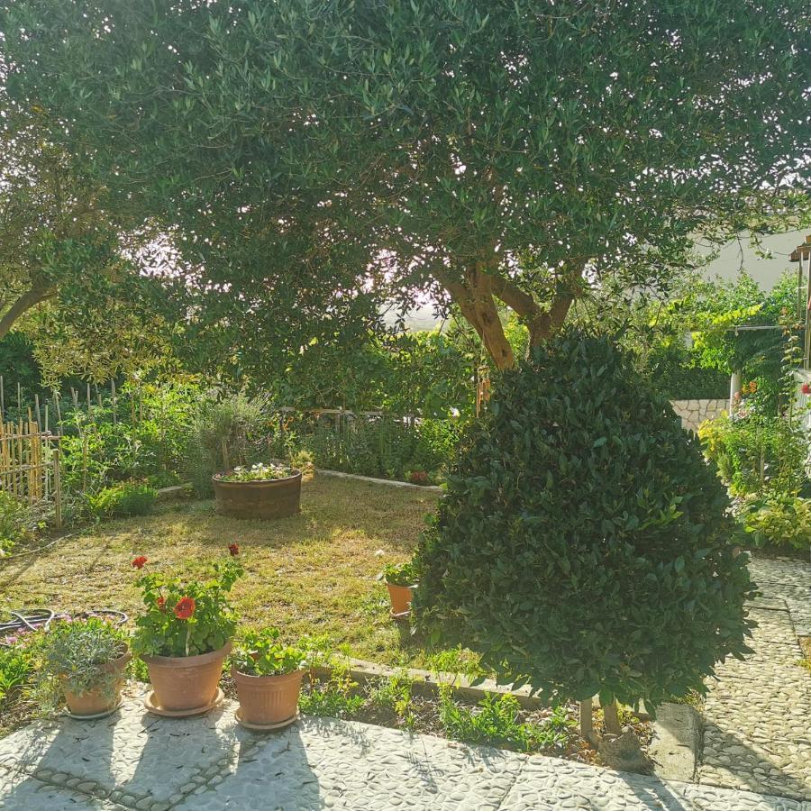 Pag Vlašići Exterior foto