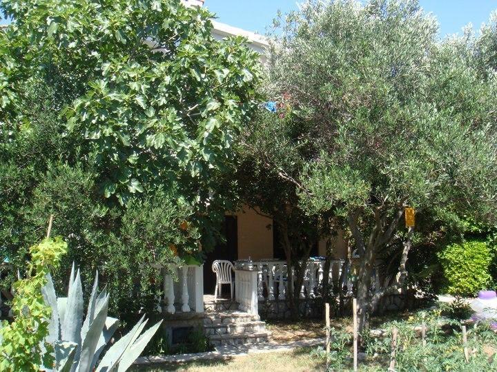 Pag Vlašići Habitación foto